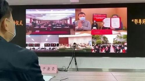 登封市最新爆料新闻直播,揭秘重大新闻事件背后的真相 第3张 登封市最新爆料新闻直播,揭秘重大新闻事件背后的真相 第3张